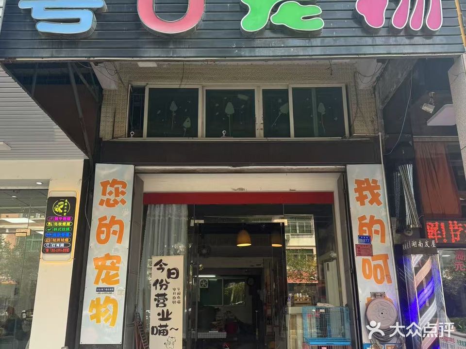 粤U宠物