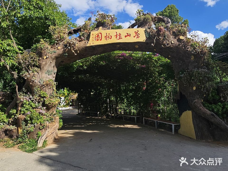 苍山植物园