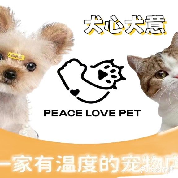 喀什市犬心犬意宠物会所(新隆花苑店)