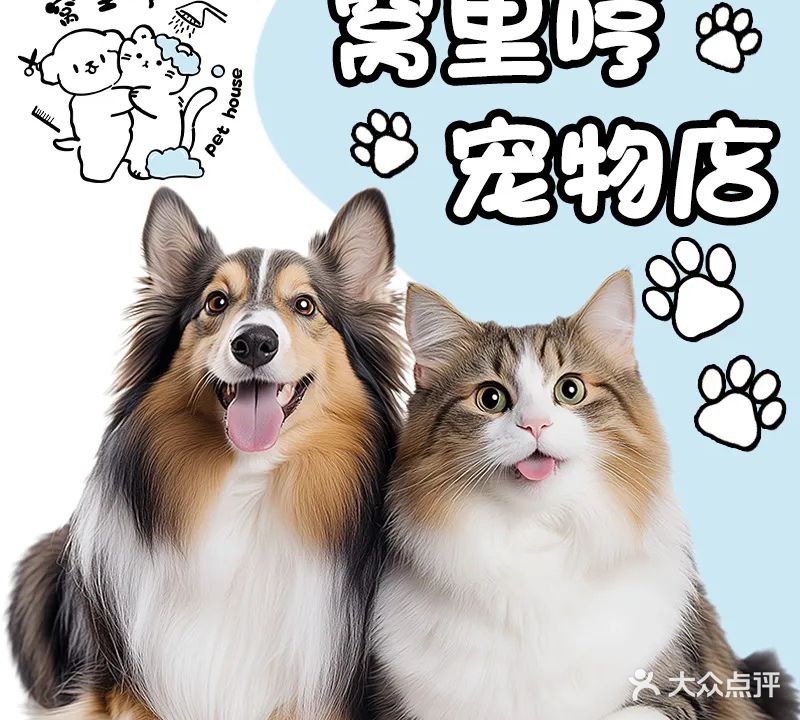 窝里哼宠物店