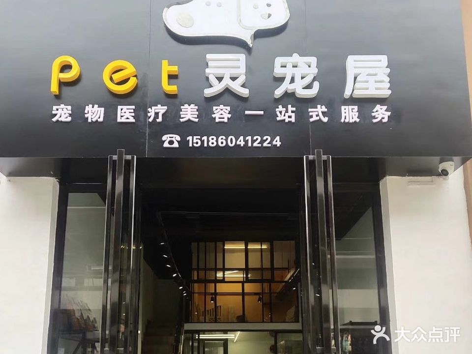 pet灵宠物