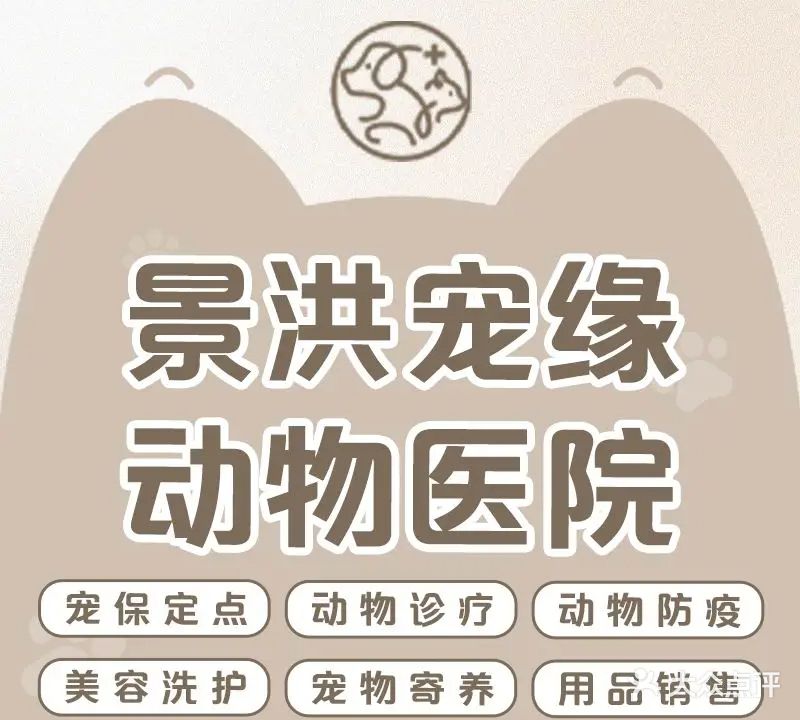 宠缘动物医院