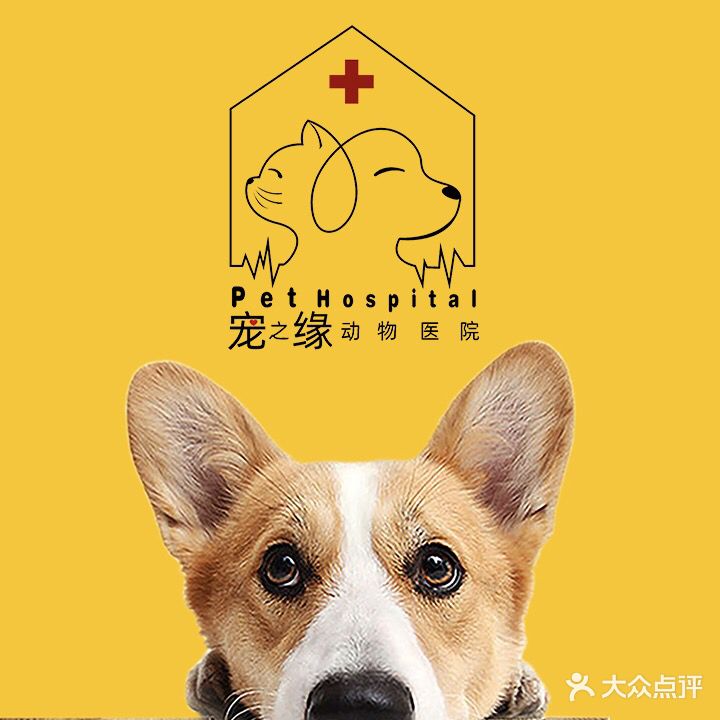 宠之缘动物医院