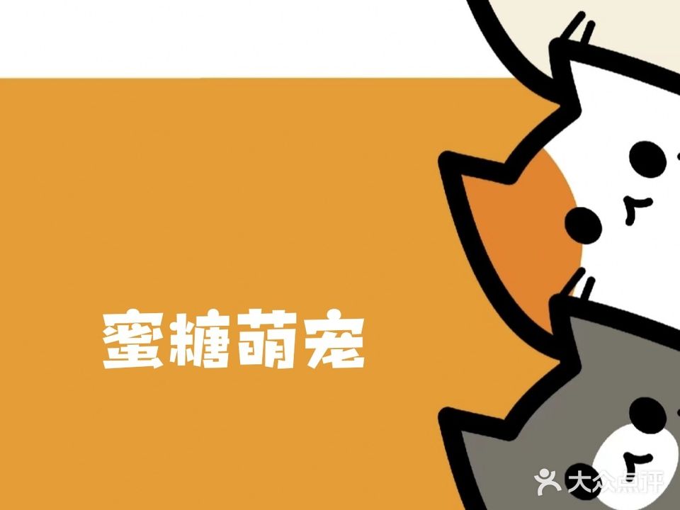 蜜糖萌宠