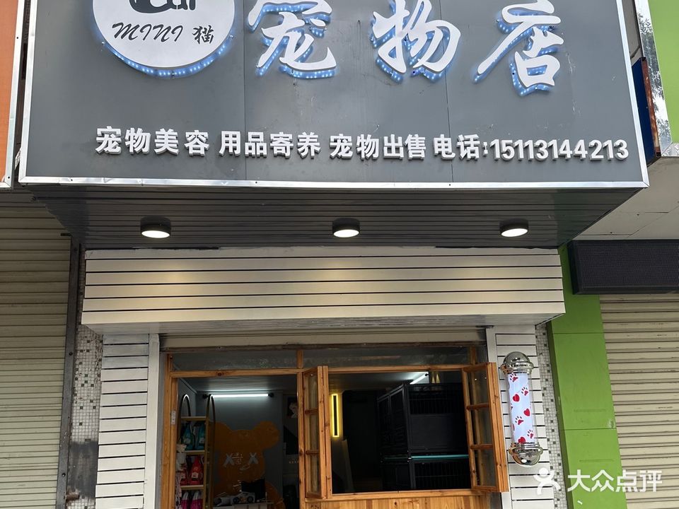 Mini猫宠物店大信店