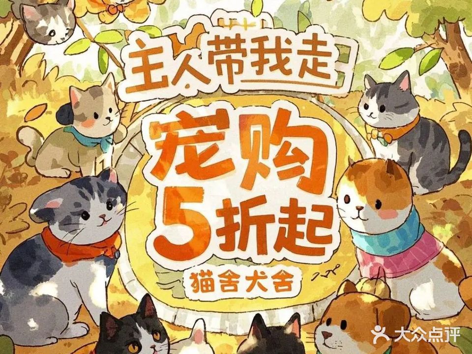 瑞祥宠物店·缅因猫舍(万科时代广场9拾9街店)
