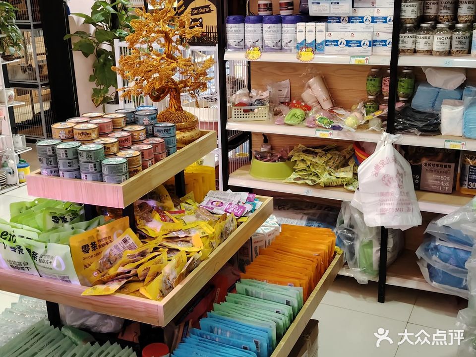米朵儿宠物店