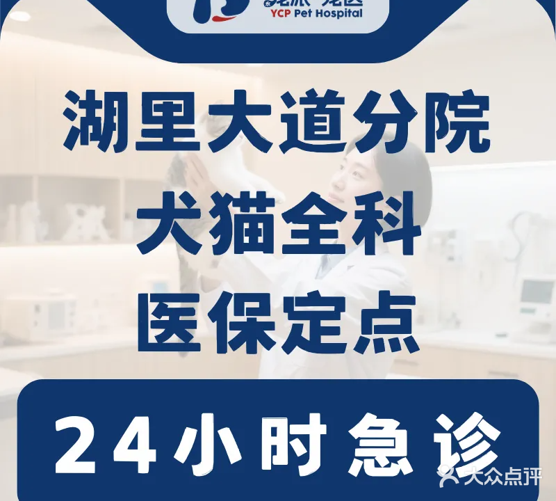 宠派·麦冬24h宠物医院·中兽医(湖里店)