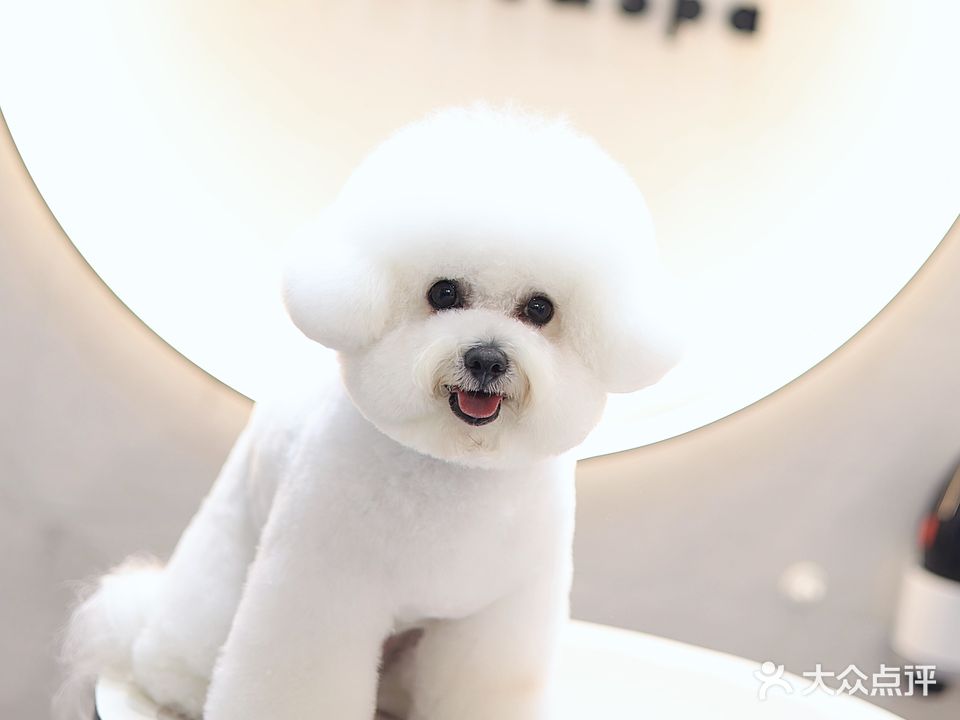 宠爱有家宠物店(海棠湾店)