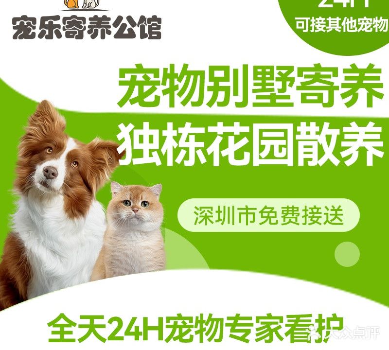 宠乐寄养公馆