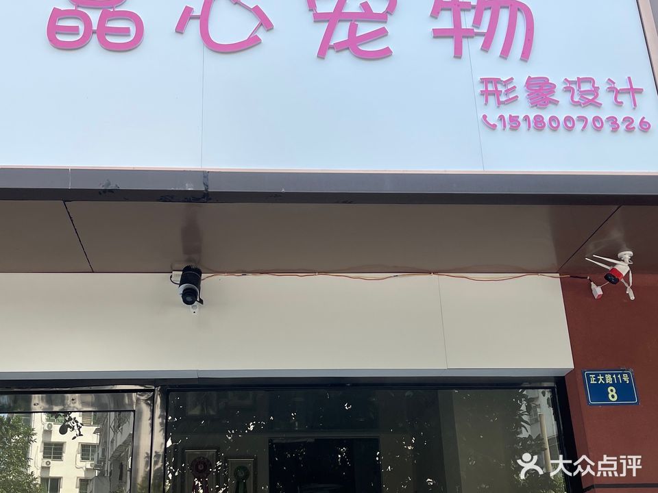晶心宠物形象设计