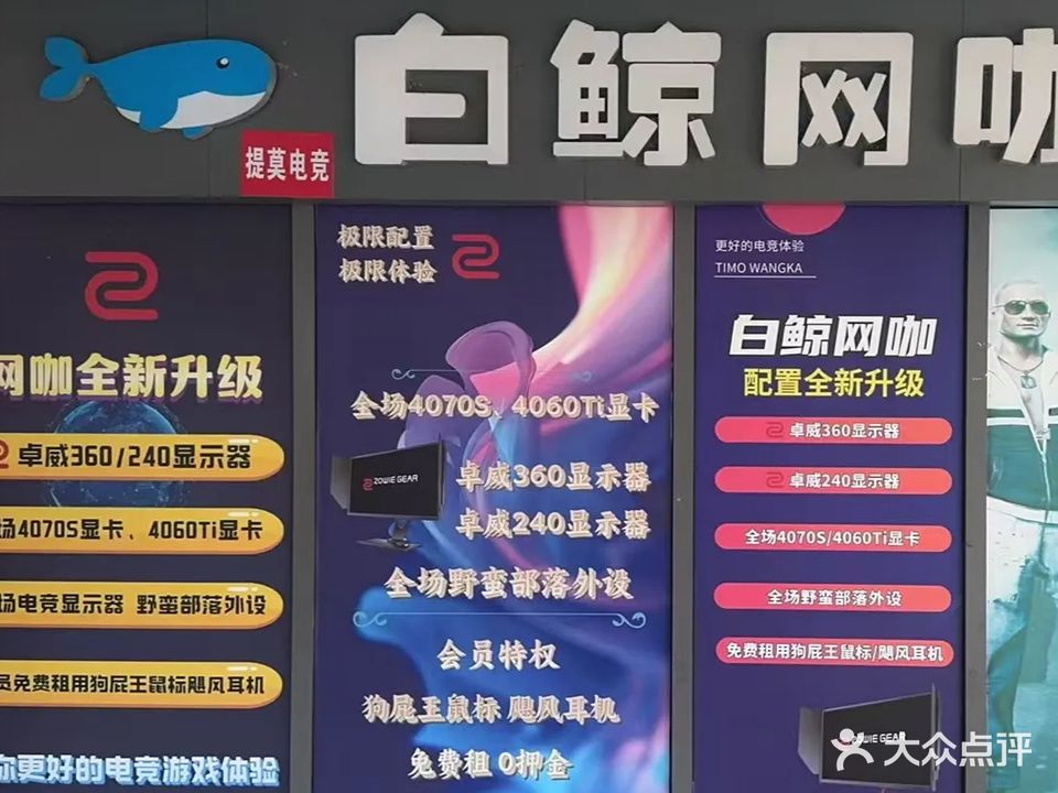 白鲸网咖