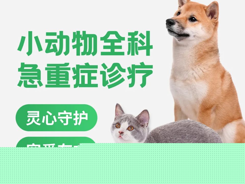 优百宠宠物用品超市(泉州中心店)
