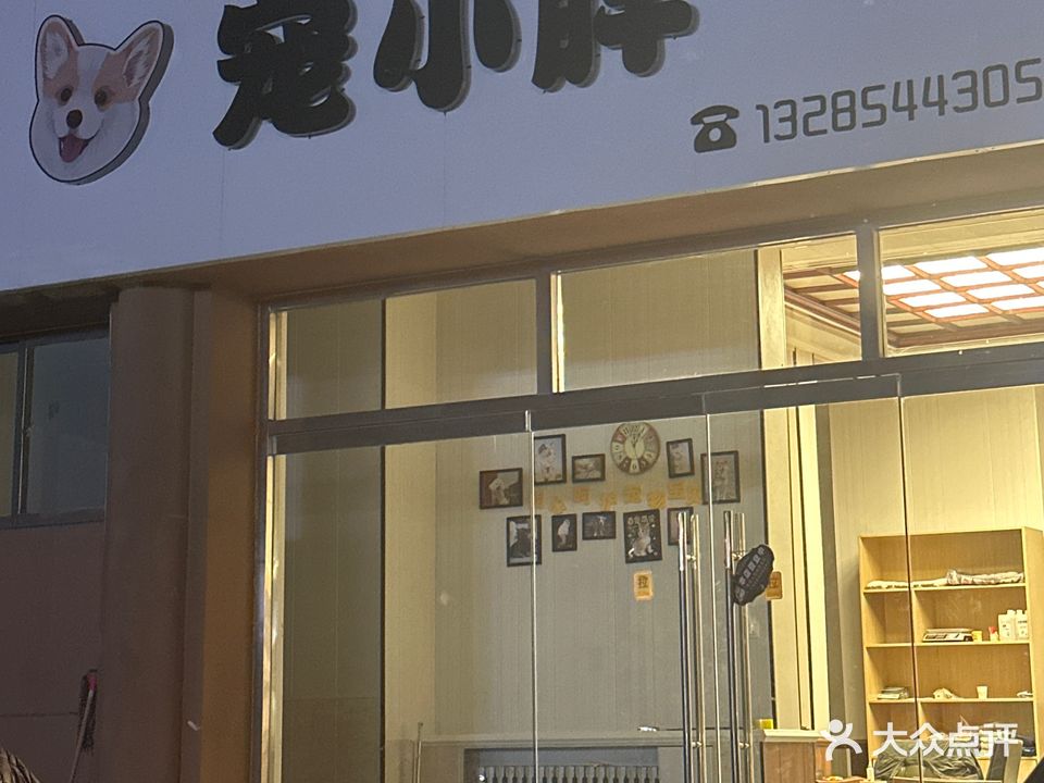 宠小胖宠物店