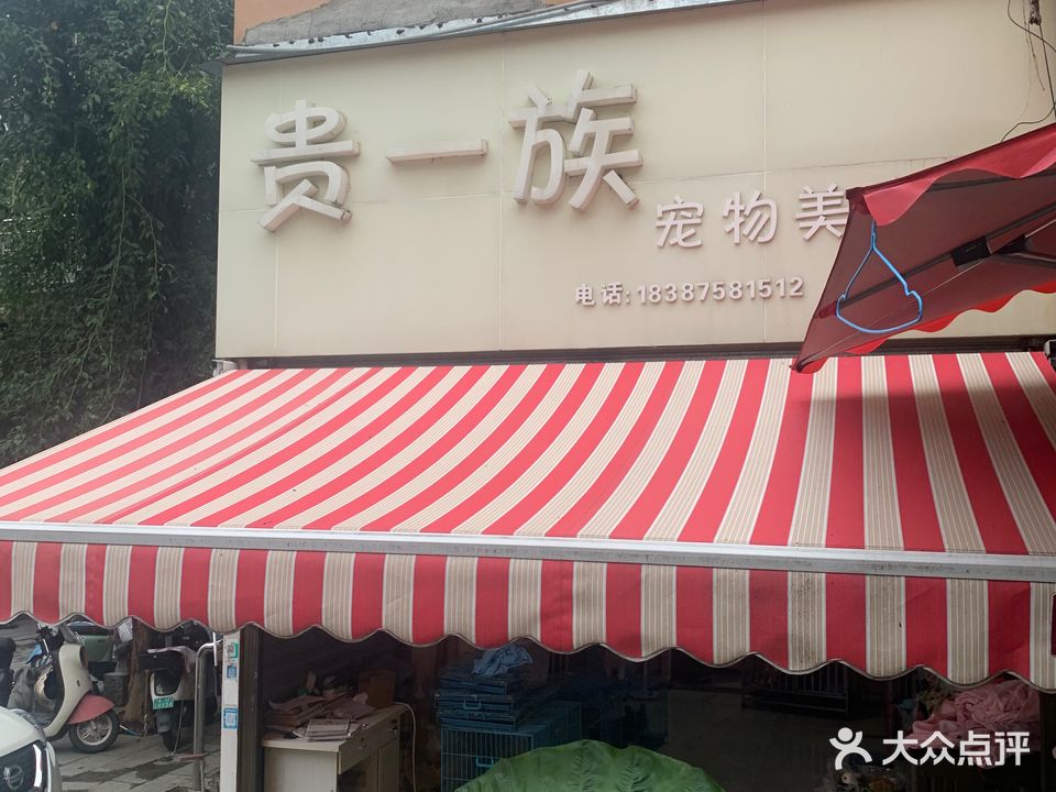 贵一族宠物美容吧(三棵树风情街店)
