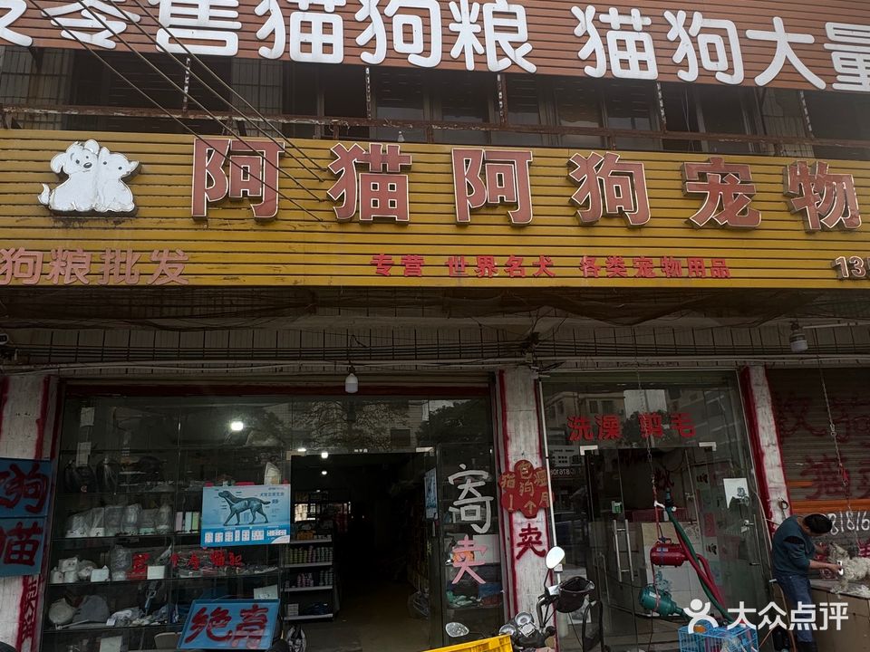 阿猫阿狗宠物店