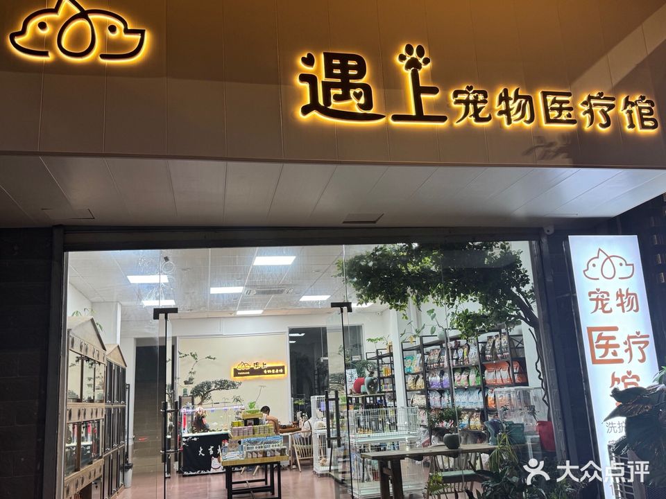 遇上宠物馆
