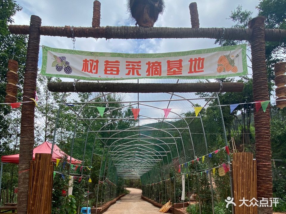 青松岭树莓采摘基地