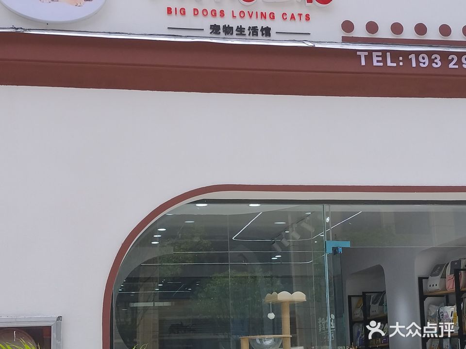 大狗爱上猫宠物生活馆(贵州华联城6期店)