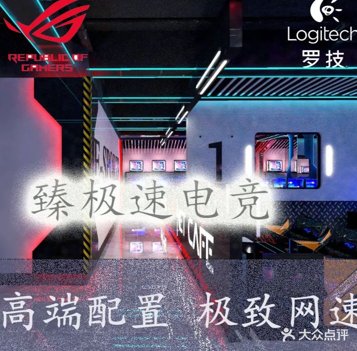 臻极速电竞