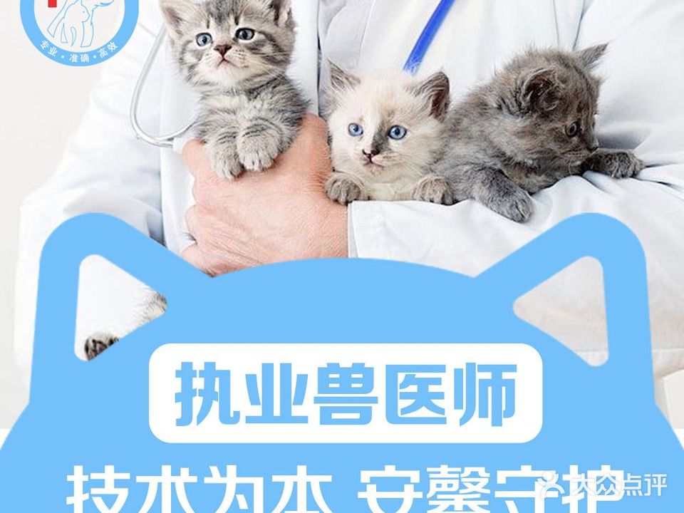 安馨动物医院·猫专科特色·24H危重症中心