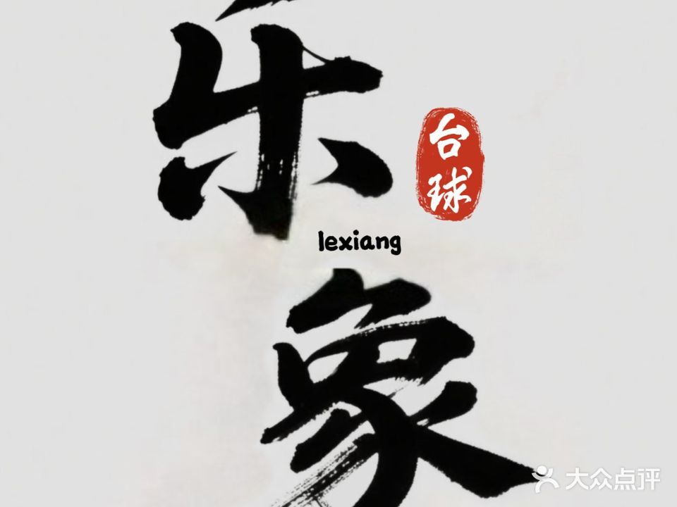乐象台球