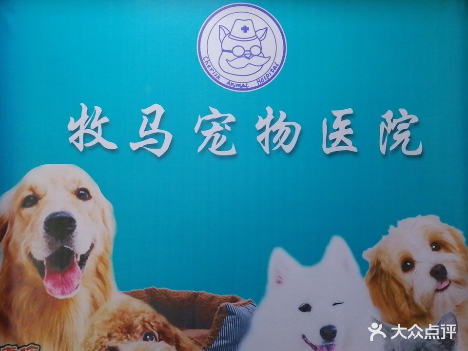 牧马宠物医院(沙岗湖店)