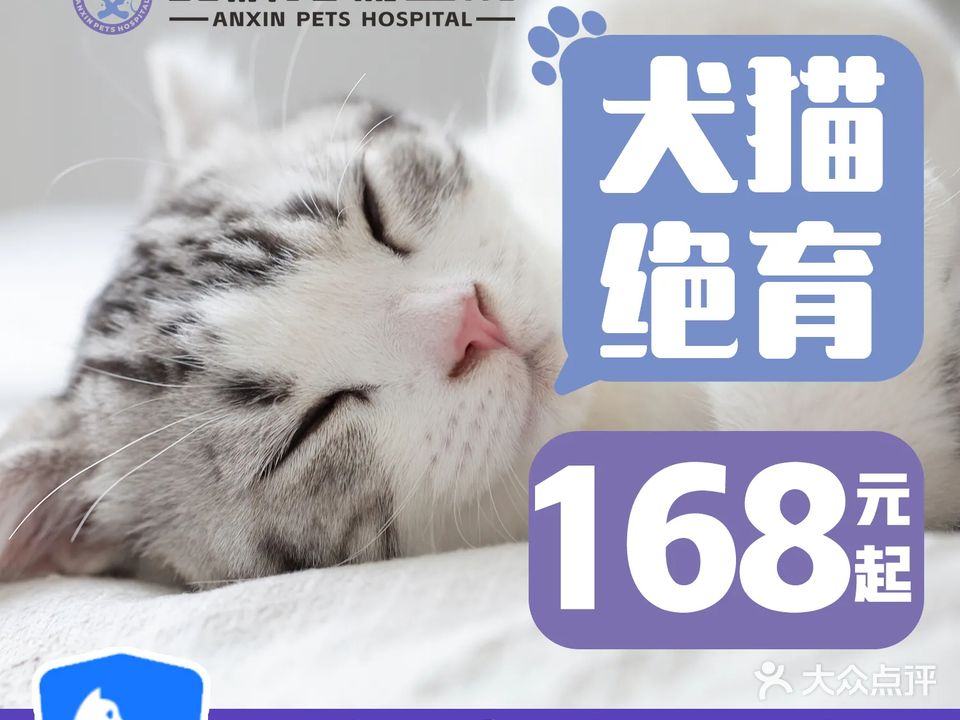 安欣宠物医院·猫科·宠物绝育·宠物疫苗(文理学院店)