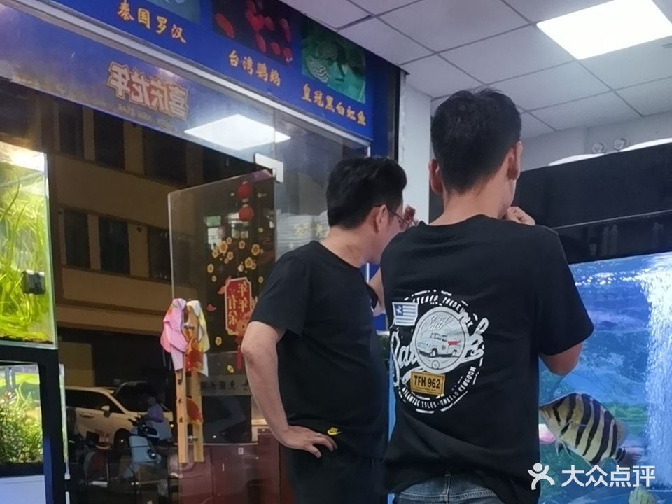 惠州大亚湾鱼乐水族