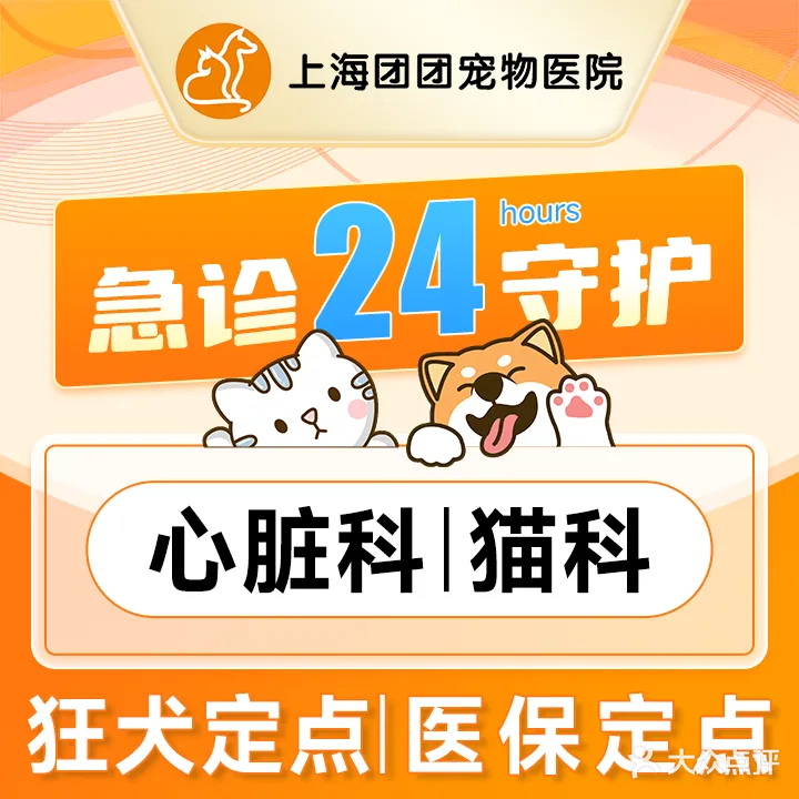 上海团团宠物医院
