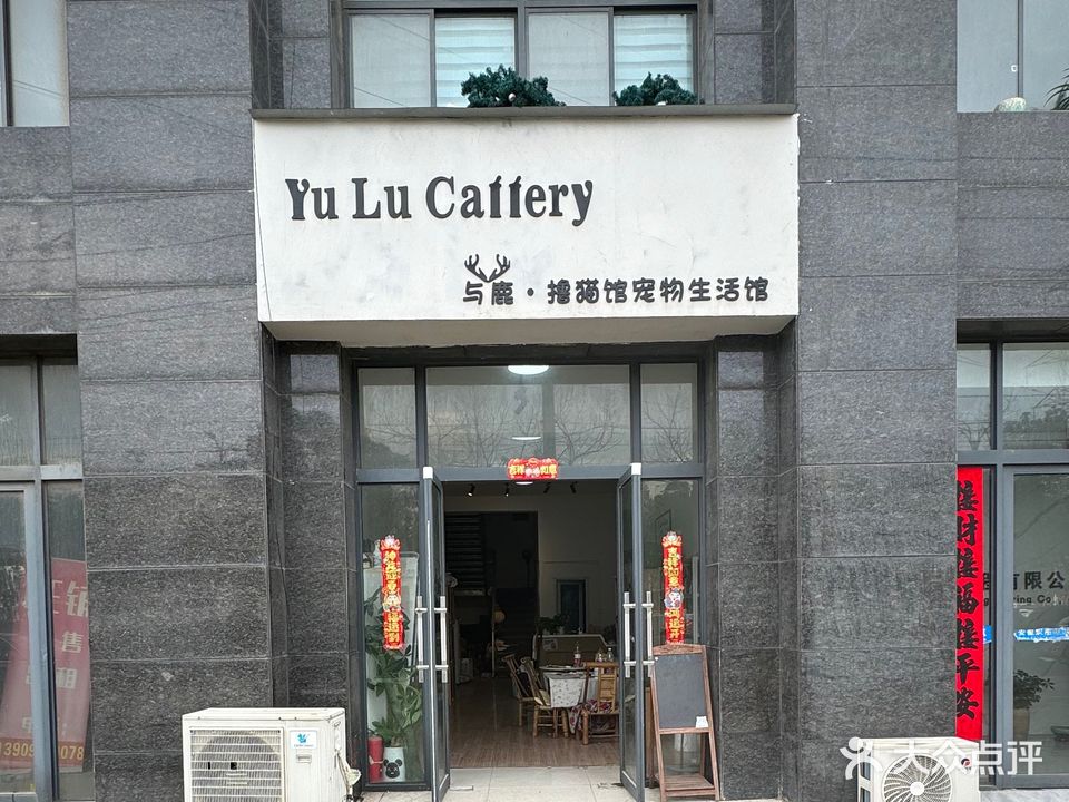 与鹿撸猫馆宠物生活馆(银杏公寓店)
