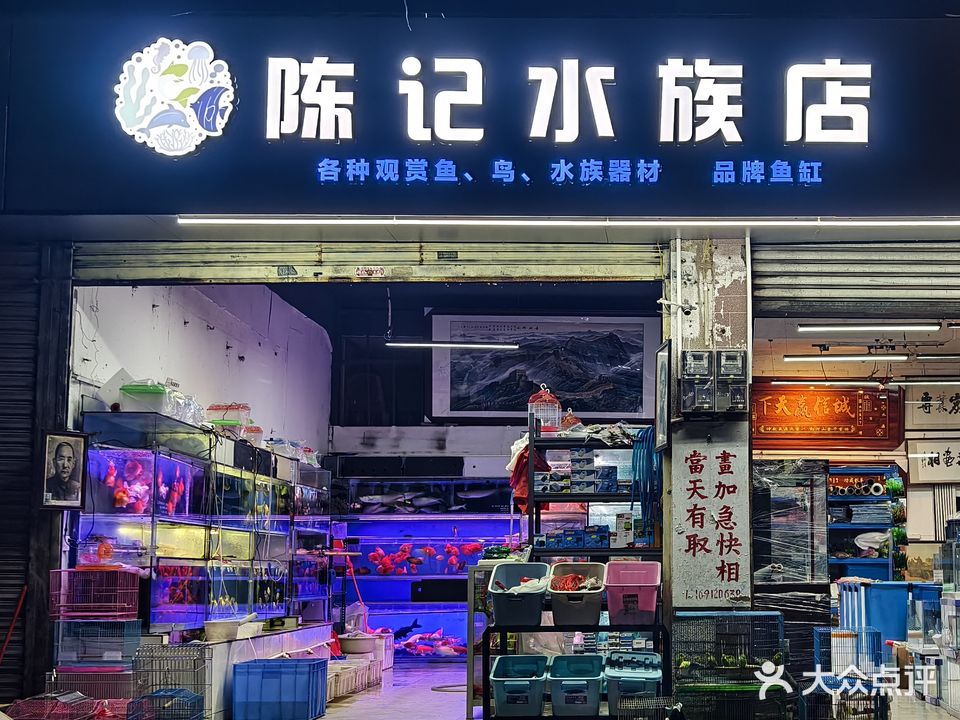 陈记水族馆