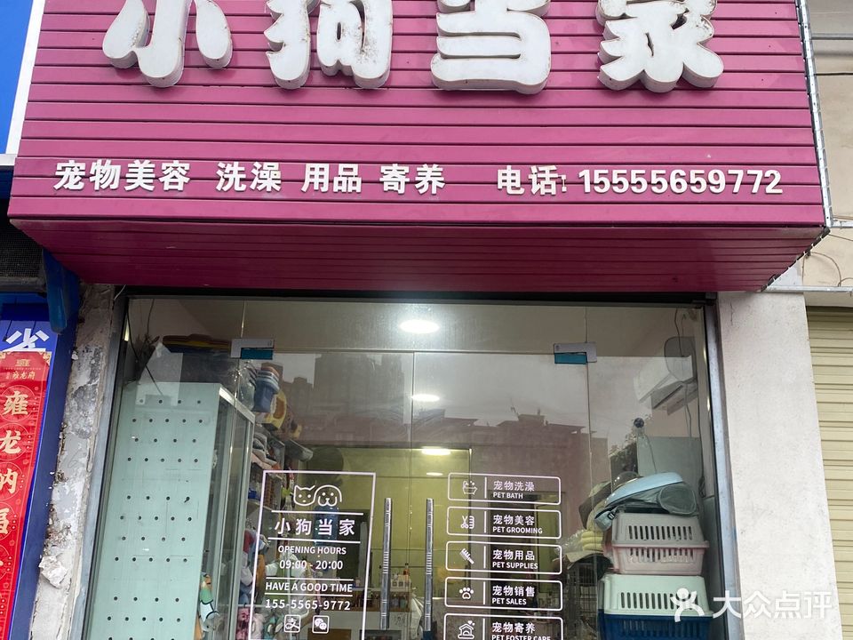 小狗当家(岳西县)