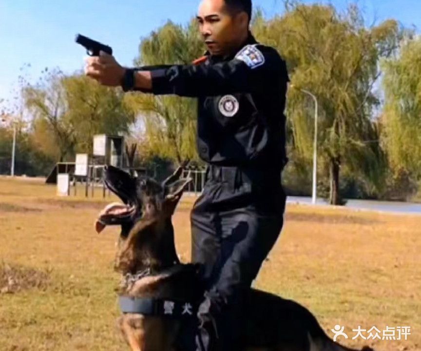 阿拉丁犬类训练基地