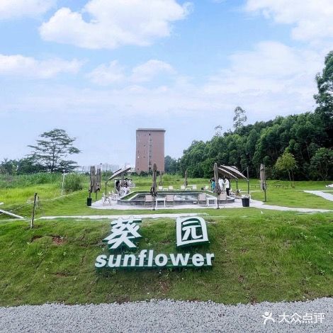 葵园垂钓中心