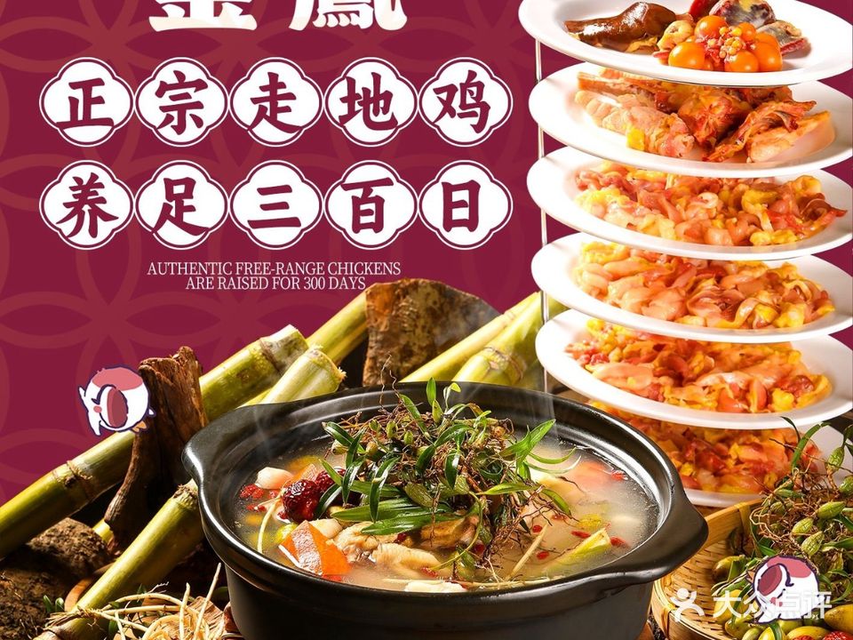 金凤碳炉药膳鸡煲