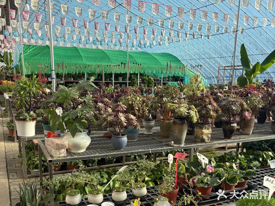 元宝区李家景观花卉中心