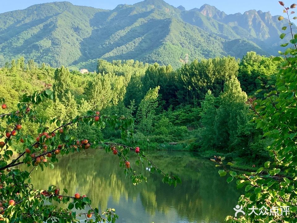 南山路亚营地