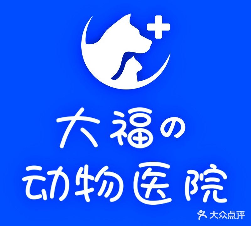 大福动物医院·异宠·针灸