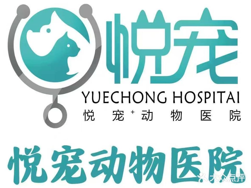 悦宠动物医院(华山路店)
