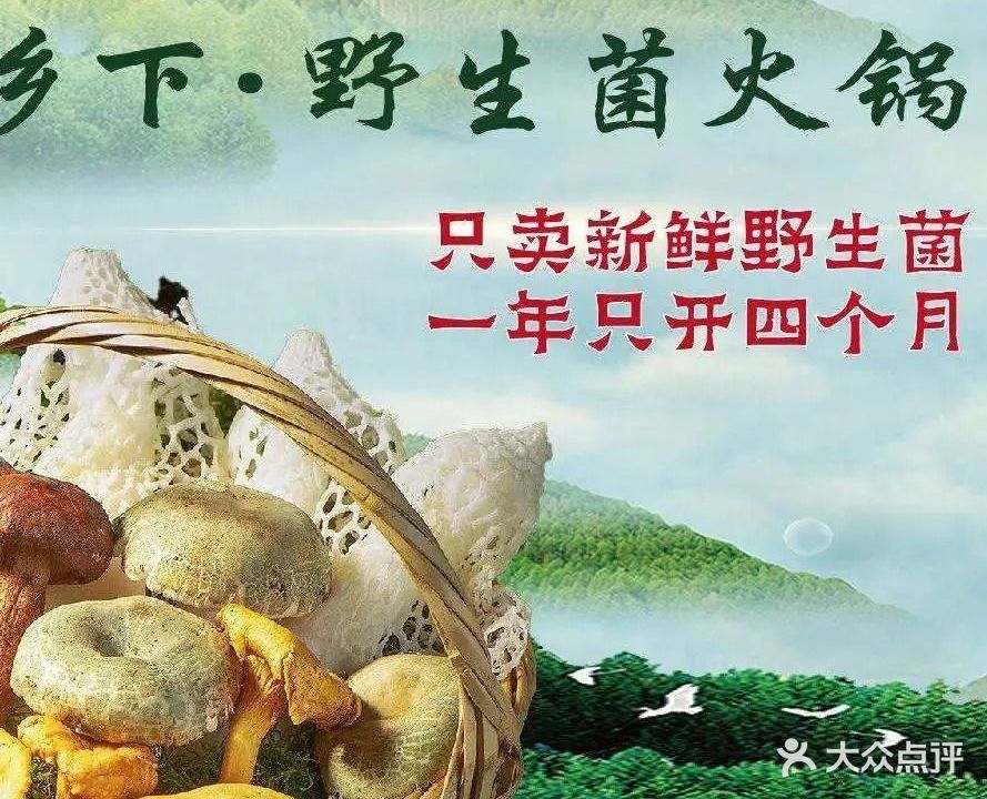 乡下土菜馆·野生菌火锅