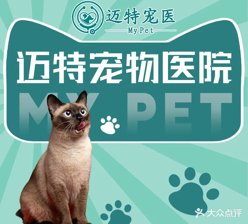 广州迈特宠物医院(海丰分院)