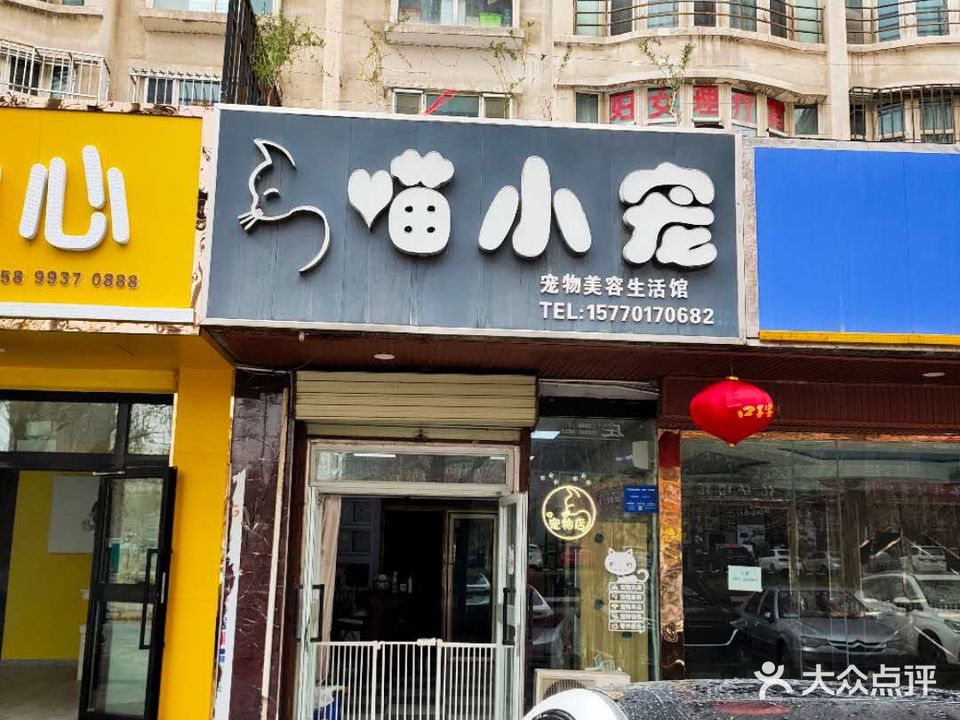 喵小宠宠物美容生活馆(水韵明珠店)