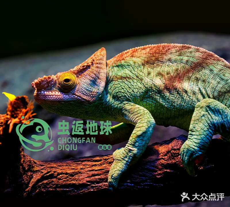 园博苑·虫返地球博物馆