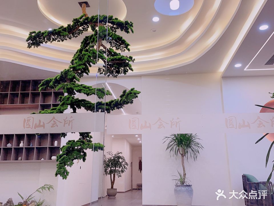 圆山会所棋牌