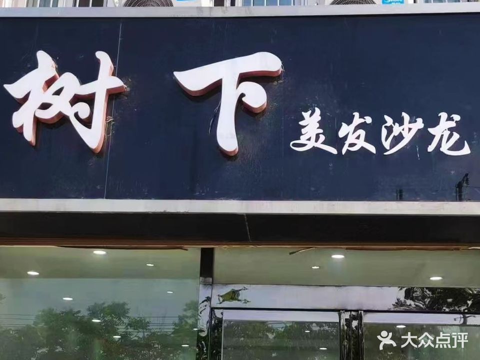 树下美发沙龙(荷花园店)
