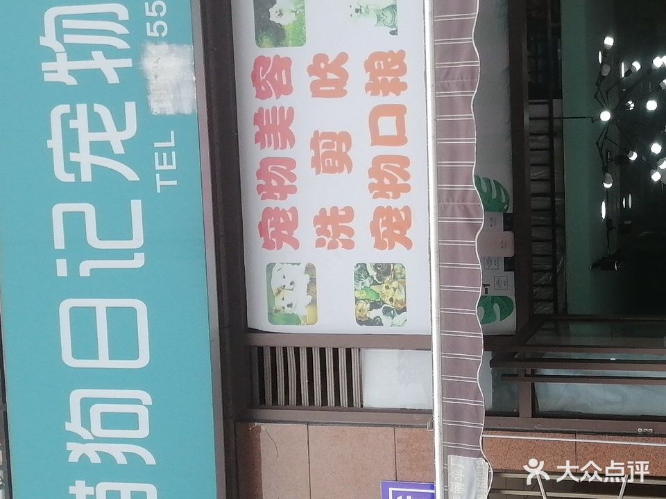 猫狗日记宠物店