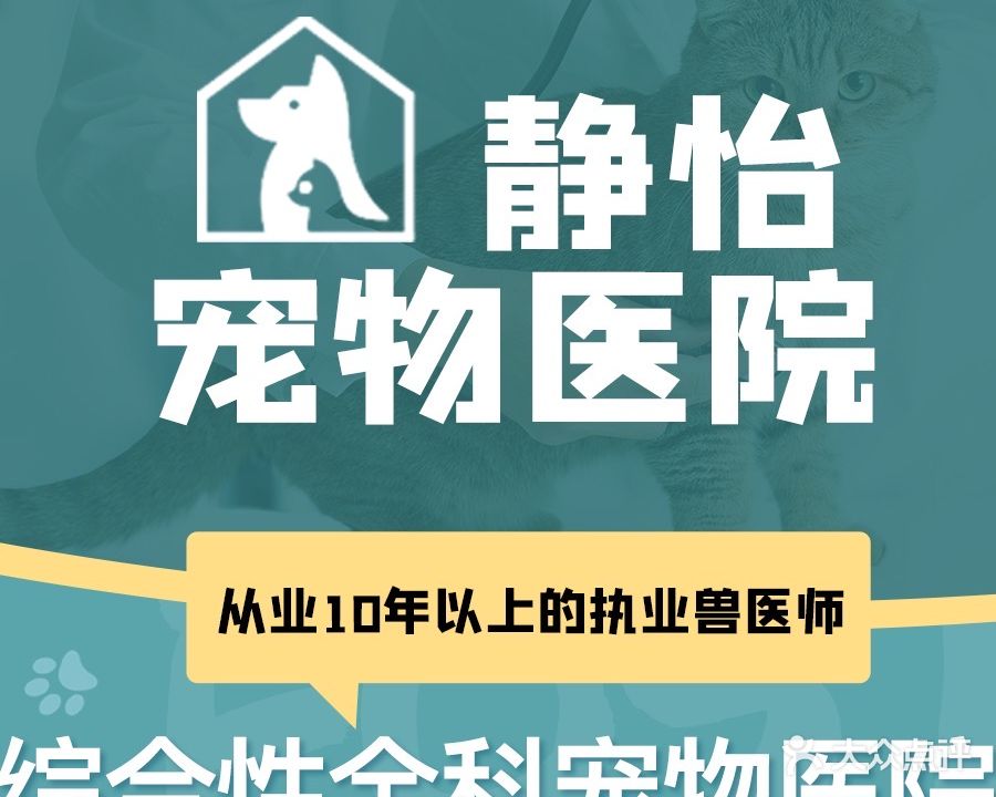 静怡宠物医院·犬猫综合型全科诊疗