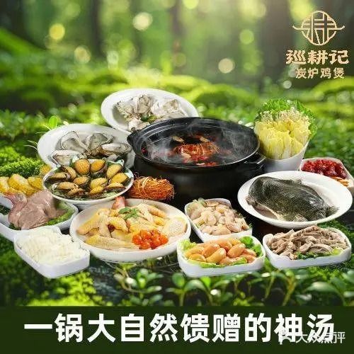 巡耕记炭炉鸡煲(东兴店)