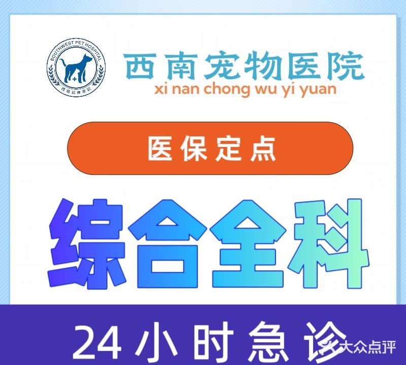西南宠物医院·内科专科·骨外科